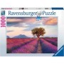Puzzle Camp De Lavanda, 1000 Piese Ravensburger - 2